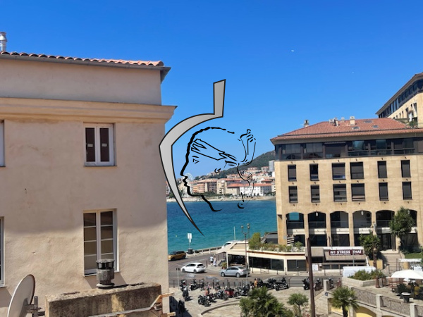 Offres de location Appartement Ajaccio 20000