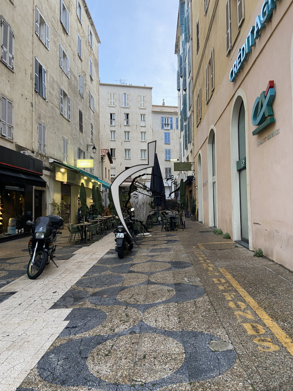 Location Immobilier Professionnel Local professionnel Ajaccio 20000