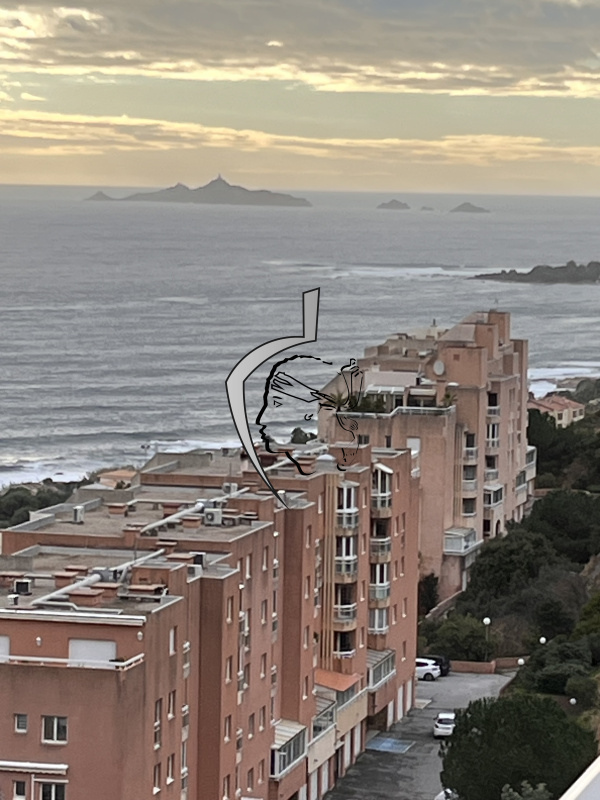 Offres de location Studio Ajaccio 20000