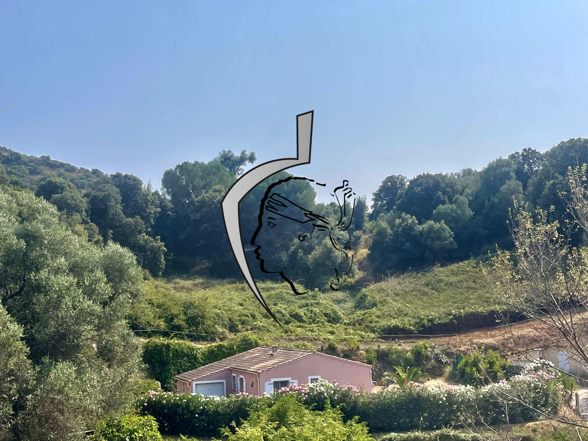Agence immobilière de Colomba Immobilier